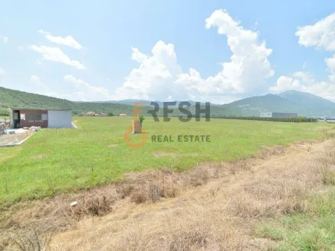 Prodaja, plac, 14000m², Danilovgrad, Crna Gora - image 9