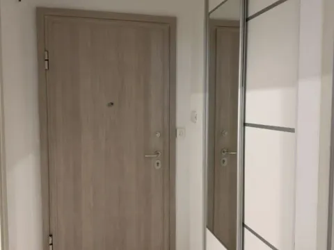 Izdavanje, jednosoban stan, 50m², Central Point, Podgorica - image 8