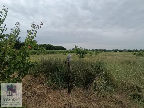 Pogled na prostrano zemljište i voćnjak. - image 12