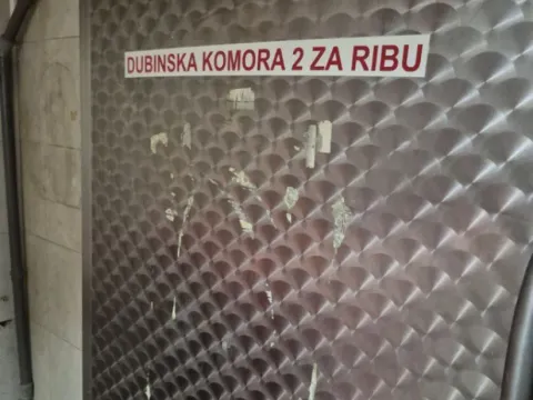 Izdavanje, poslovni prostor, 130m², Zemun Save Kovačevića, Zemun Sve Podlokacije - image 4