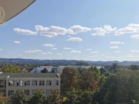 Izdavanje, dvosoban stan, 40m², Liman 4, Novi Sad Sve Podlokacije - image 4