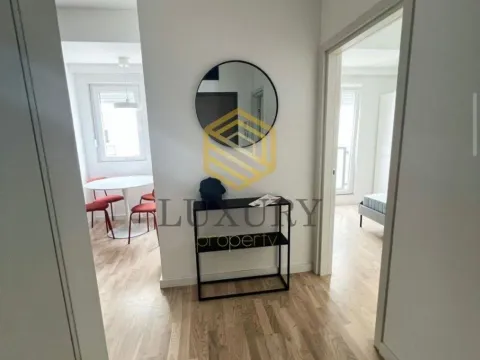 Izdavanje, jednosoban stan, 47m², Cvijetin Brijeg, Podgorica - image 2