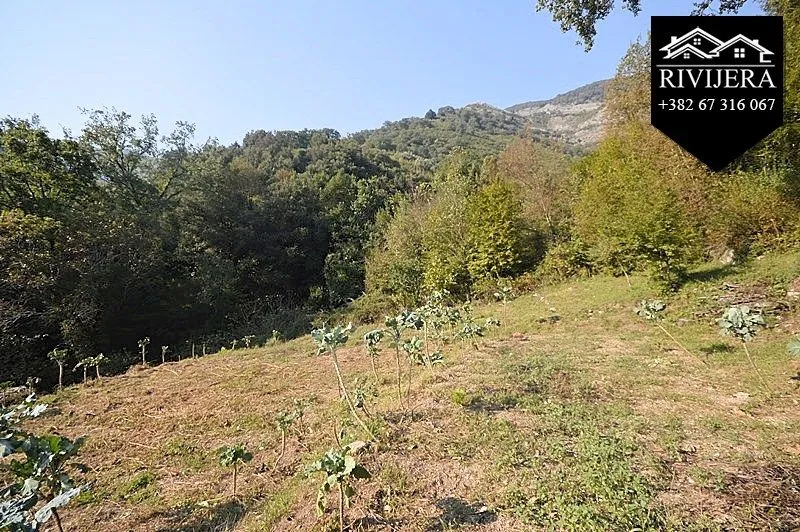 Prodaja, plac, 1040m², Bijela, Herceg Novi