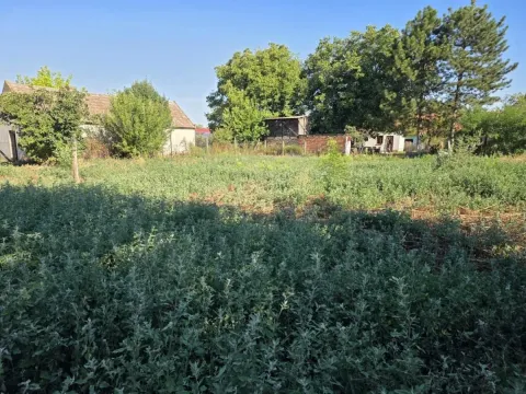 Prodaja, kuća, 130m², Titel, Novi Sad - image 7