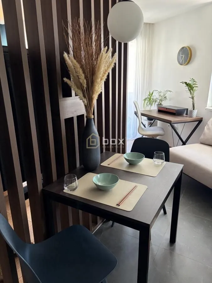Rent, one bedroom apartment, 47m², Pantelej, Niš