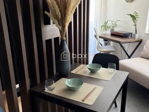 Rent, one bedroom apartment, 47m², Pantelej, Niš - image 4