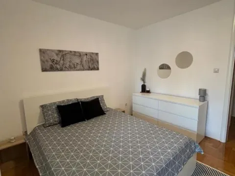 Izdavanje, dvosoban stan, 50m², Socijalno, Novi Sad Sve Podlokacije - image 12