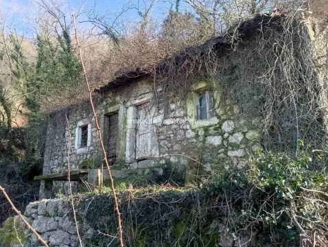 Stara kamena kuća u ruševnom stanju obrasla rastinjem. - image 3