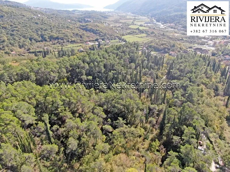 Prodaja, plac, 33385m², Sutorina, Herceg Novi