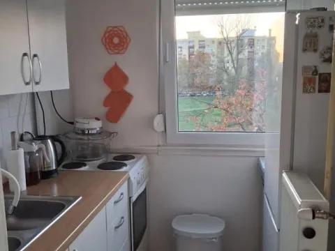 Izdavanje, dvosoban stan, 60m², Liman 4, Novi Sad Sve Podlokacije - image 4