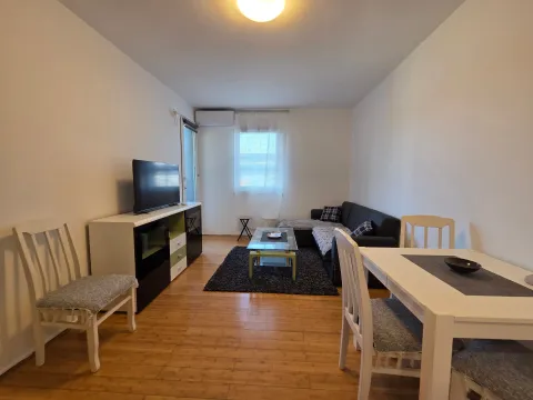 Rent, one bedroom apartment, 42m², Krivi Most, Podgorica - image 2