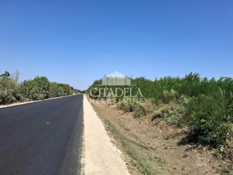 Prodaja, plac, 6000m², Sopot, Beograd - image 4