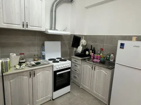 Rent, one bedroom apartment, 42m², Zabjelo, Podgorica - image 6