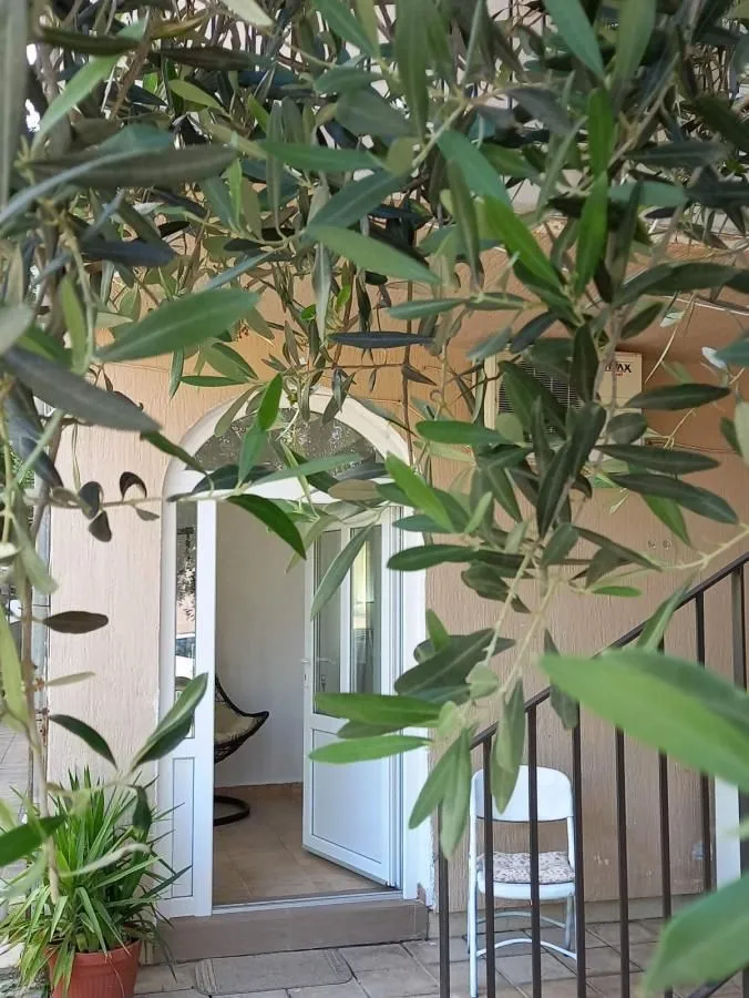 Izdavanje, jednosoban stan, 36m², Budva, Crna Gora