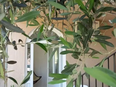 Izdavanje, jednosoban stan, 36m², Budva, Crna Gora - image 2