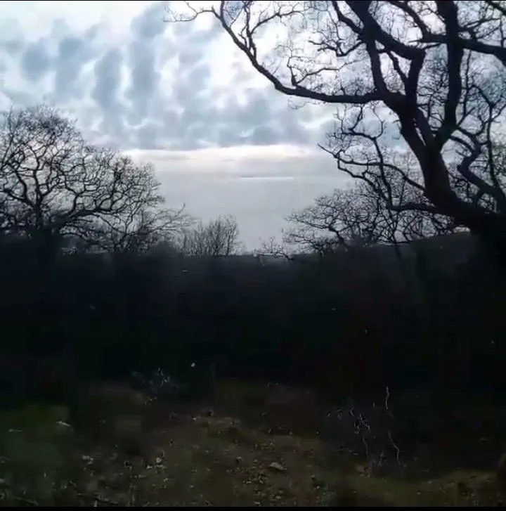 Pogled na prirodno okruženje i šumu u toku dana.