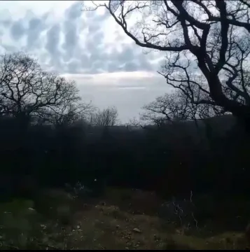 Pogled na prirodno okruženje i šumu u toku dana. - image 7