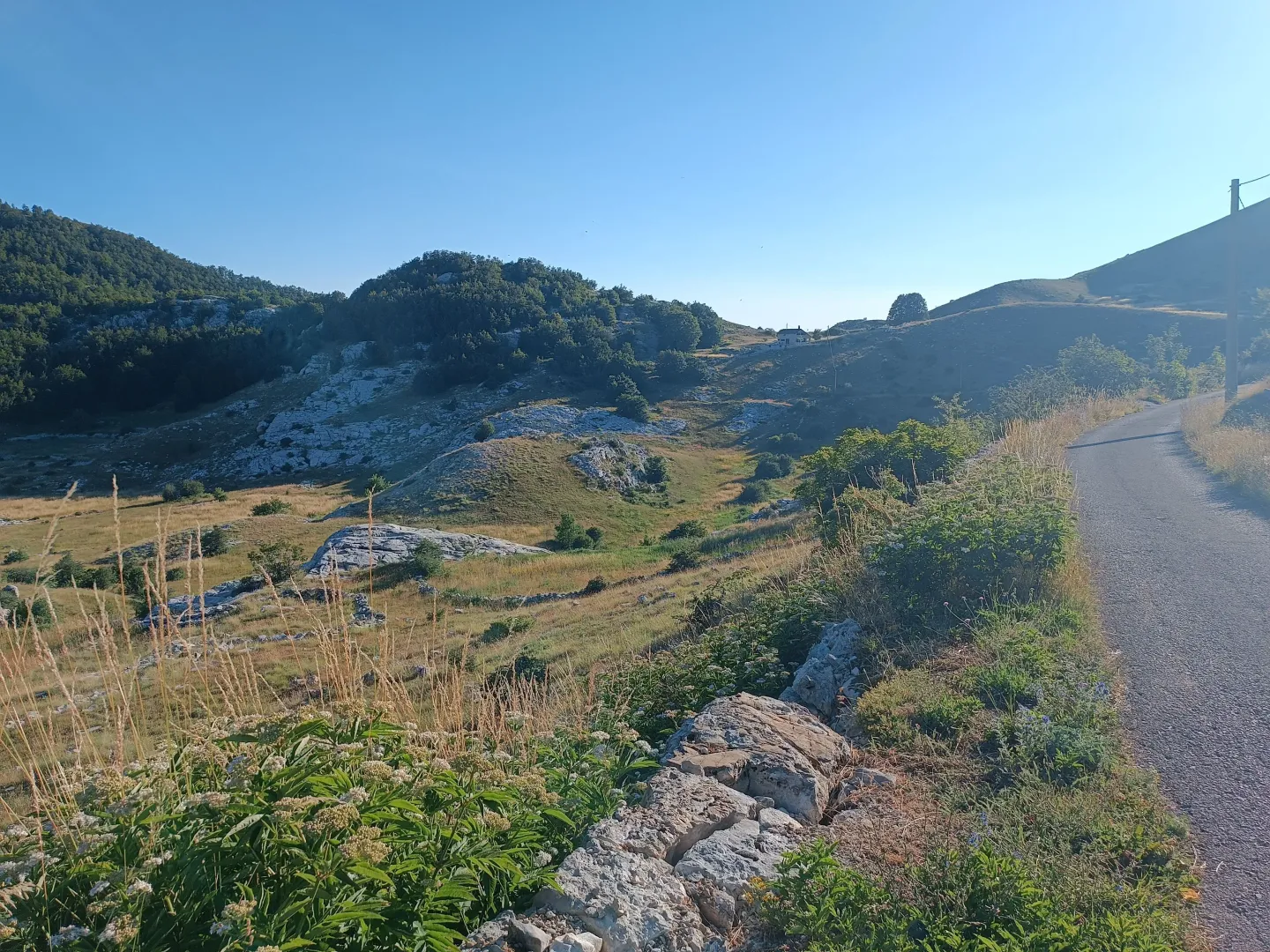 Prodaja, plac, 9000m², Ivanova Korita, Cetinje