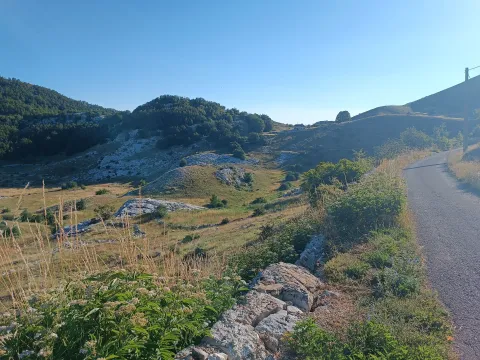 Prodaja, plac, 9000m², Ivanova Korita, Cetinje - image 14