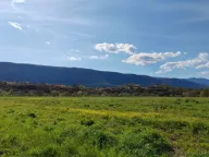 Sale, land lot, 3132m², Slap, Danilovgrad - image 2