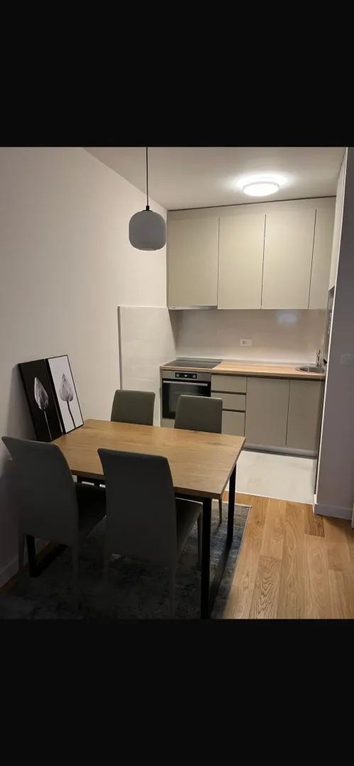 Izdavanje, jednosoban stan, 43m², Central Point, Podgorica