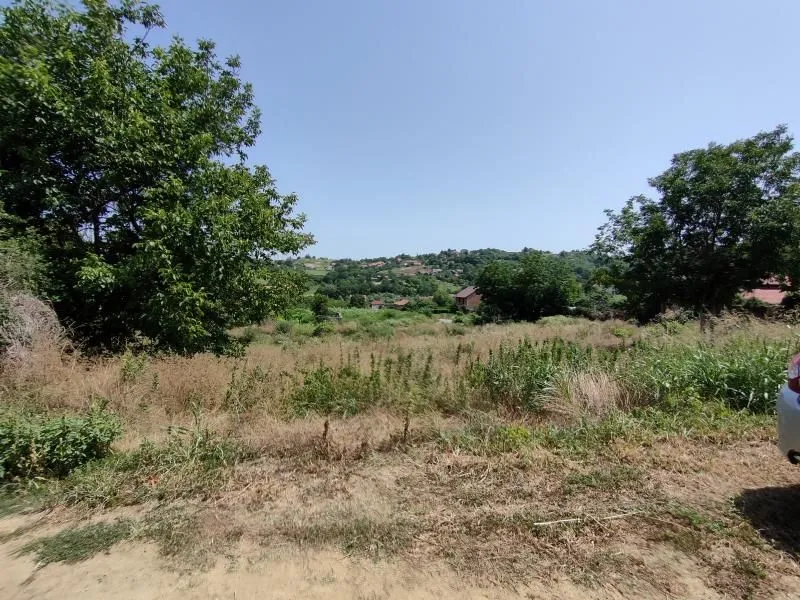 Prodaja, plac, 6000m², Paragovo, Petrovaradin