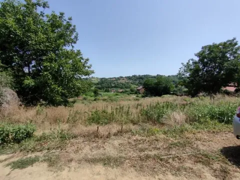 Sale, land lot, 6000m², Paragovo, Petrovaradin - image 5