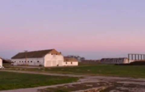 Prodaja, plac, 98000m², Vrbas, Novi Sad - image 2