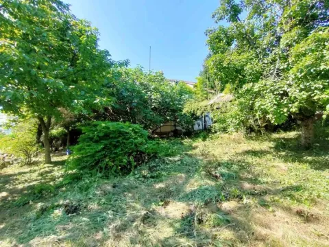 Sale, land lot, 1500m², Bocke, Petrovaradin - image 5