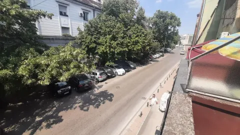 Pogled sa terase na ulicu sa drvećem i parkiranim automobilima. - image 12