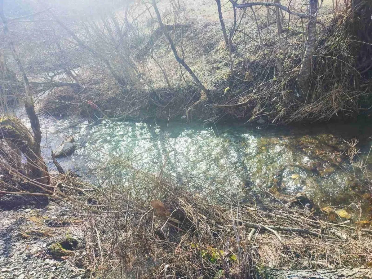 Prodaja, plac, 50000m², Mojkovac, Crna Gora