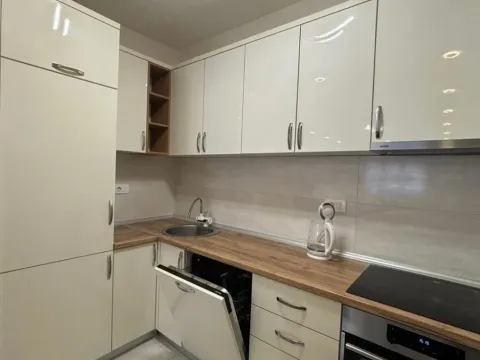 Izdavanje, jednosoban stan, 49m², Central Point, Podgorica - image 3