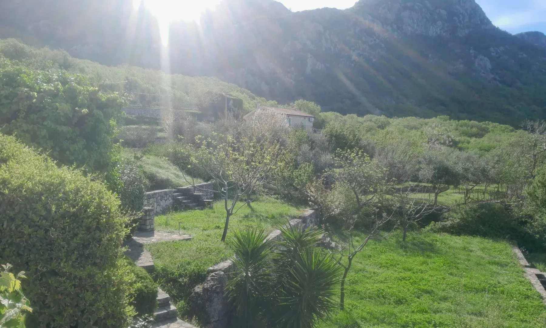 Prodaja, kuća, 370m², Sveti Stefan, Budva