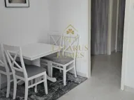 Rent, one bedroom apartment, 50m², Stari Aerodrom, Podgorica - image 5