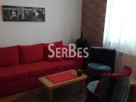 Rent, one bedroom apartment, 33m², Bulevar Oslobodjenja, Novi Sad Sve Podlokacije - image 1