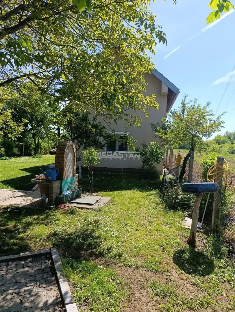 View of the yard and exterior of the house with greenery.