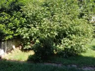 Sale, house, 185m², Gorica C, Podgorica - image 3