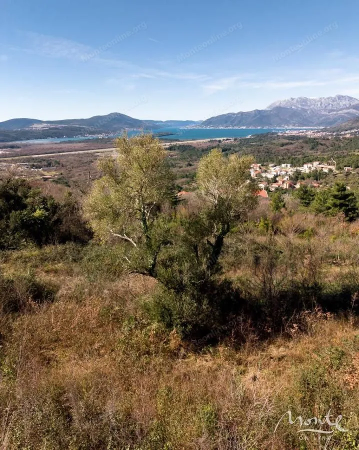 Prodaja, plac, 5520m², Dub, Kotor