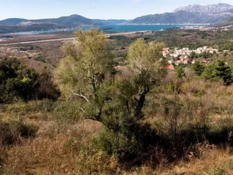 Prodaja, plac, 5520m², Dub, Kotor - image 5