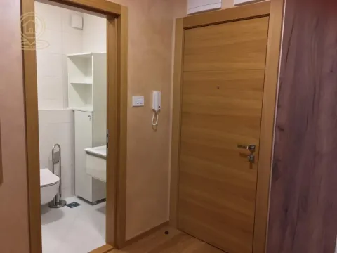 Rent, two bedroom apartment, 42m², Rotkvarija, Novi Sad Sve Podlokacije - image 9