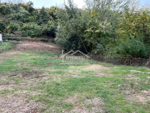 Pogled na zeleno dvorište i šumu. - image 2