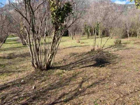 Prodaja, plac, 1673m², Pečurice, Bar - image 3