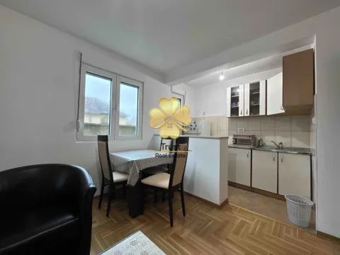 Izdavanje, jednosoban stan, 45m², Tološi, Podgorica - image 3