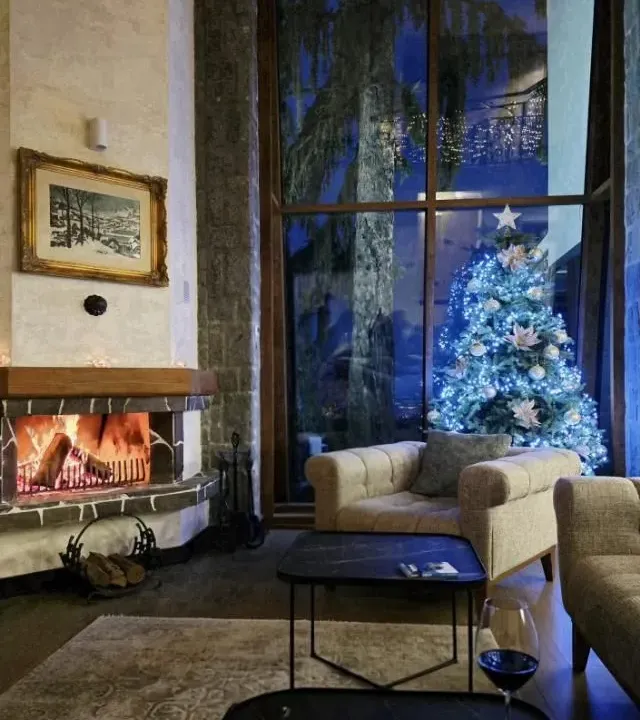 Prodaja, kuća, 388m², Sremska Kamenica, Petrovaradin