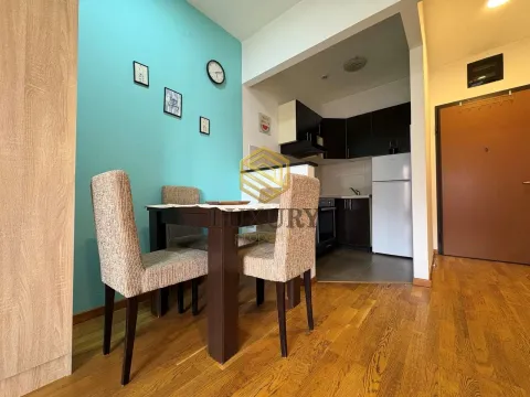 Izdavanje, jednosoban stan, 30m², City Kvart, Podgorica - image 11