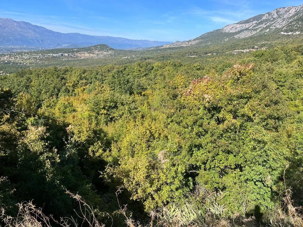 Prodaja, plac, 47894m², Danilovgrad, Crna Gora