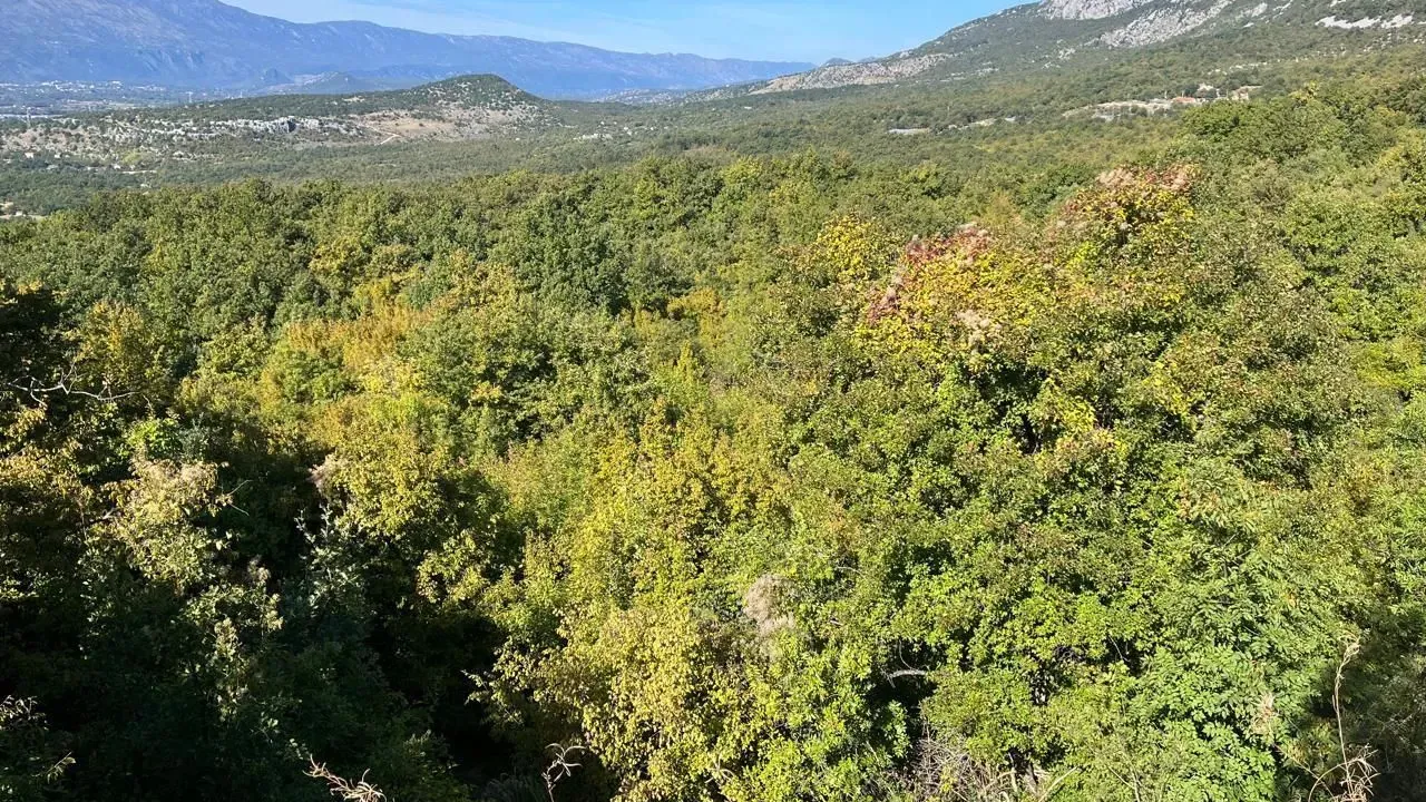 Prodaja, plac, 47894m², Danilovgrad, Crna Gora