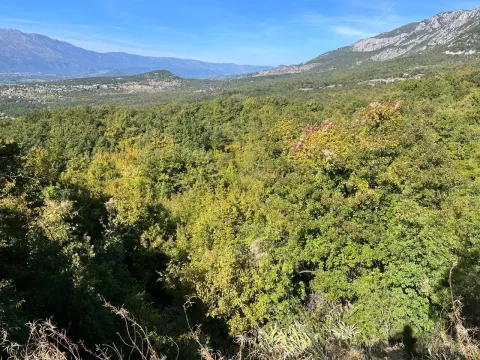 Prodaja, plac, 47894m², Danilovgrad, Crna Gora - image 1