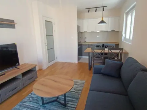 Izdavanje, jednosoban stan, 42m², Podgorica, Crna Gora - image 9