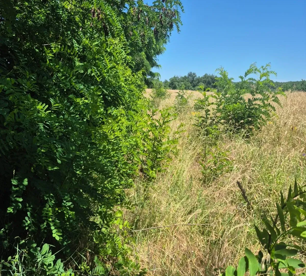Sale, land lot, 11500m², Valjevo, Srbija